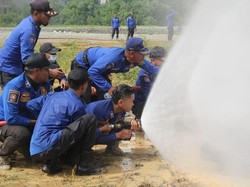 Satpol PP Damkar Barru Siapkan Skema Outsourcing Imbas 62 Honorer Dirumahkan