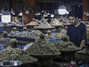 Apakah Ikan Merasakan Sakit Saat Akan Mati? Begini Kata Studi Terbaru Apakah Ikan Merasakan Sakit Saat Akan Mati? Begini Kata Studi Terbaru