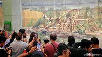 Gemas! Mengabadikan Panda Pakai Honor Magic V3