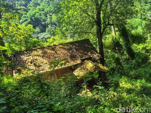 Wujud Gubuk di Tengah Hutan Sukabumi Tempat Eks Bos Diskotek Menyepi