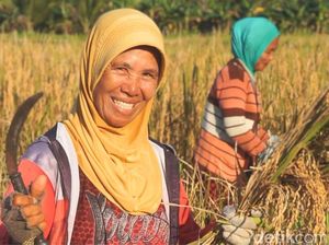 BPS Kaltara Ungkap Kemiskinan Menurun, Sektor Pertanian Mulai Ditinggalkan