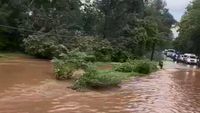 Penampakan Jalur Pantura TN Baluran Situbondo Terendam Banjir