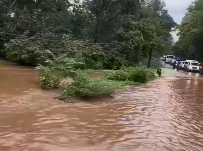 Penampakan Jalur Pantura TN Baluran Situbondo Terendam Banjir