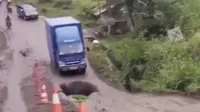Awas Kena Tipu! Foto-foto Ini Mengecoh Mata,