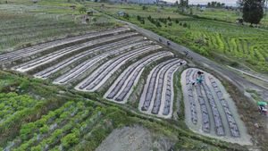 Geliat Pertanian di Sigi