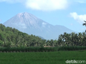 Gunung Semeru Kembali Erupsi, Muntahkan Abu Vulkanik 800 Meter Gunung Semeru Kembali Erupsi, Muntahkan Abu Vulkanik 800 Meter