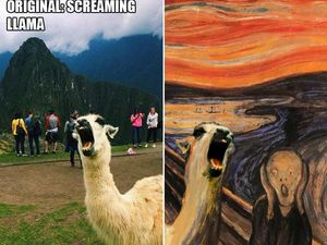 Ketika Foto Ini Diedit dari Pakar Photoshop, Keren Tapi Bikin Ngakak