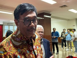 Djarot soal Kongres PDIP: Sebagian Besar Kader Ingin Bu Mega Tetap Jadi Ketum