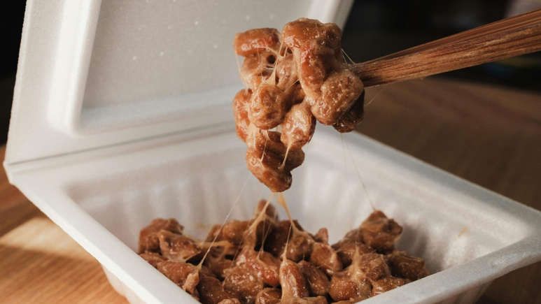 makanan jepang
