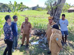 Kawasan Industri Parepare Mandek gegara Dokumen Lingkungan-Pembebasan Lahan Kawasan Industri Parepare Mandek gegara Dokumen Lingkungan-Pembebasan Lahan