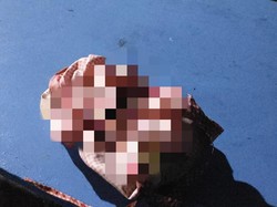 Jenazah Bayi Ditemukan dalam Tempat Sampah Pabrik Boneka di Gresik