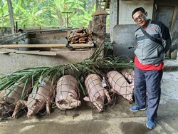 Jelang Hari Galungan, Disperpa Badung Pantau Daging Babi Layak Konsumsi