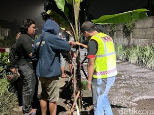 Warga Sidoarjo Protes Jalan Rusak dengan Tanam Pisang Warga Sidoarjo Protes Jalan Rusak dengan Tanam Pisang