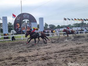 Cerita Prabowo Belikan 28 Kuda Terbaik demi SEA Games dan Kualitas Peternakan