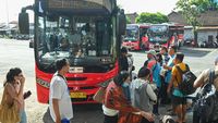 Trans Metro Dewata Kembali Beroperasi