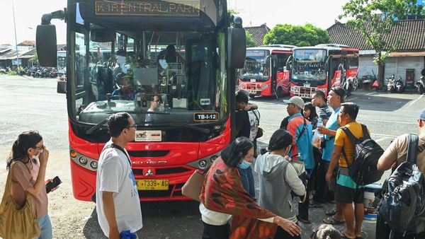 Trans Metro Dewata Kembali Beroperasi