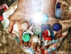 Lokasi Bank Sampah Jakarta di Mana? Ini Cara Ceknya Secara Online