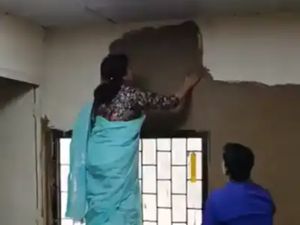 Viral Tren Dinding Rumah Diplester Pake Kotoran Sapi, Alasannya di Luar Nalar Viral Tren Dinding Rumah Diplester Pake Kotoran Sapi, Alasannya di Luar Nalar