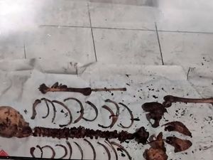 Misteri Orang Asing dan Tengkorak di Hutan Angker Sukabumi Misteri Orang Asing dan Tengkorak di Hutan Angker Sukabumi