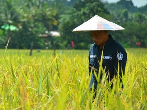Pemkab Bulungan Siapkan Rp 30 M dan Tunggu Arahan Pusat untuk Program MBG