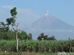 Status Waspada, Gunung Semeru 2 Kali Erupsi Pagi Ini