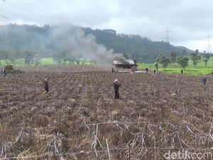 Geram Petani Teh Pangalengan Saat Lahan Mendadak Jadi Kebun Sayuran Geram Petani Teh Pangalengan Saat Lahan Mendadak Jadi Kebun Sayuran