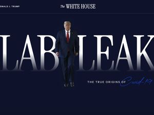 Trump Ganti Situs COVID-19 AS ke Teori Kebocoran Laboratorium Wuhan Trump Ganti Situs COVID-19 AS ke Teori Kebocoran Laboratorium Wuhan