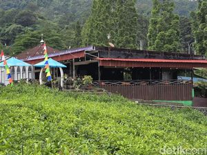 Rajin Gaet Mitra, BUMDes di Puncak Bikin Kafe sampai Ternak Sapi