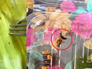 Jorok! Daun Pisang Berjamur Dipakai untuk Bungkus Ketan Jorok! Daun Pisang Berjamur Dipakai untuk Bungkus Ketan