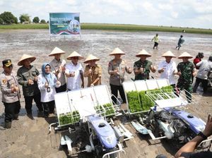 Gerakan Tanam Padi di Kalteng untuk Ketahanan Pangan Nasional