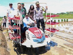 Andra Soni Targetkan Panen Beras di Banten Capai 1,8 Juta Ton di 2025