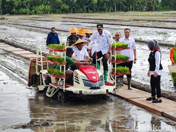 Gubernur Jateng Ahmad Luthfi bareng Forkopimda Jateng dan para bupati Solo Raya menanam padi serempak dalam agenda Gerina di Kecamatan Trucuk, Klaten, Rabu (23/4/2025). Gubernur Jateng Ahmad Luthfi bareng Forkopimda Jateng dan para bupati Solo Raya menanam padi serempak dalam agenda Gerina di Kecamatan Trucuk, Klaten, Rabu (23/4/2025).