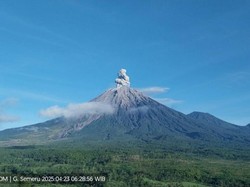Gunung Semeru Erupsi Pagi Ini, Semburan Abu Vulkanik Capai 900 Meter