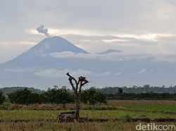 Gunung Semeru 2 Kali Erupsi Pagi Ini, Kolom Abu Letusan Capai 900 Meter