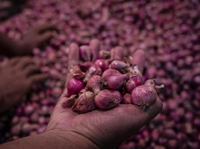 Harga Bawang Merah di Semarang Turun