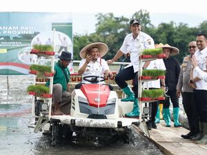 Jelang Kemarau, Ahmad Luthfi Genjot Penanaman Padi 250.000 Hektare