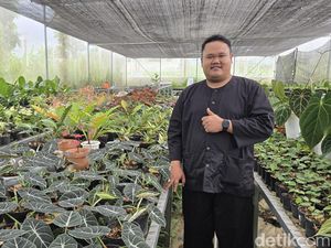 Ekspor Tanaman Hias, Desa di Bogor Sumbang Devisa Negara