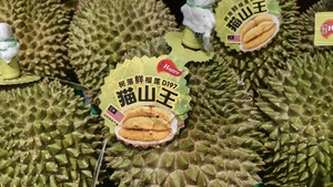 Negara ASEAN Berebut Pasar Durian di China