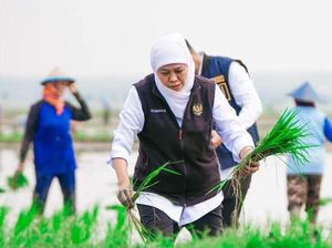 Jatim Cetak Rekor, Sumbang 25% Luas Tanam Padi Nasional di April 2025 Jatim Cetak Rekor, Sumbang 25% Luas Tanam Padi Nasional di April 2025