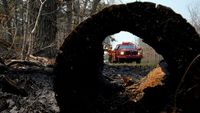 Hutan di New Jersey Membara