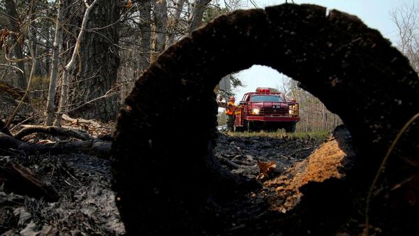Hutan di New Jersey Membara