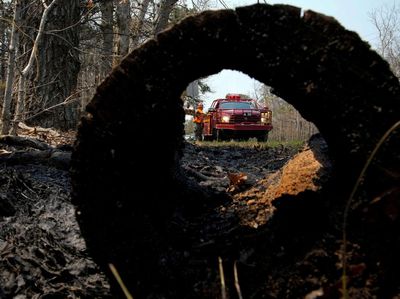 Hutan di New Jersey Membara