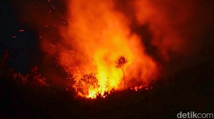 Karhutla di Jateng Capai 520 Hektare, Pembakaran Lahan Tebu Jadi Penyebab Terbanyak