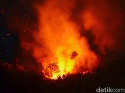 Kemarau 2025 Panjang, Pemprov Sumsel Lebih Awal Tetapkan Siaga Karhutla