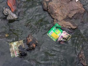 Bukan Air Kemasan Gelas, Sampah Sachet Dominasi Limbah di Bali