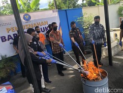 BNNP DIY Gagalkan Penyelundupan Ganja Hampir Sekilo dari Medan ke Jogja