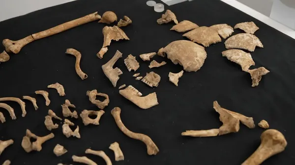 Makam Kuno Dekat Bandara Cardiff yang Penuh Misteri