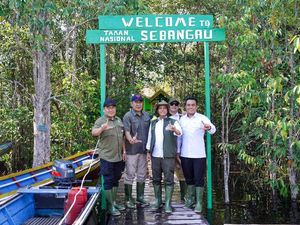 Menhut Sebut Keberadaan Gambut di Sebangau Penting bagi Iklim Global Menhut Sebut Keberadaan Gambut di Sebangau Penting bagi Iklim Global