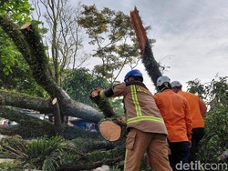 Cerita Horor Pegawai Pos Saat Tertimbun Pohon di Garut