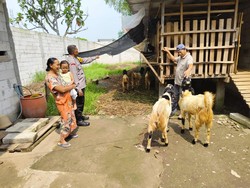 Dukung Ketahanan Pangan, Polisi Cek Lahan Sayur-Peternakan Warga Sidoarjo